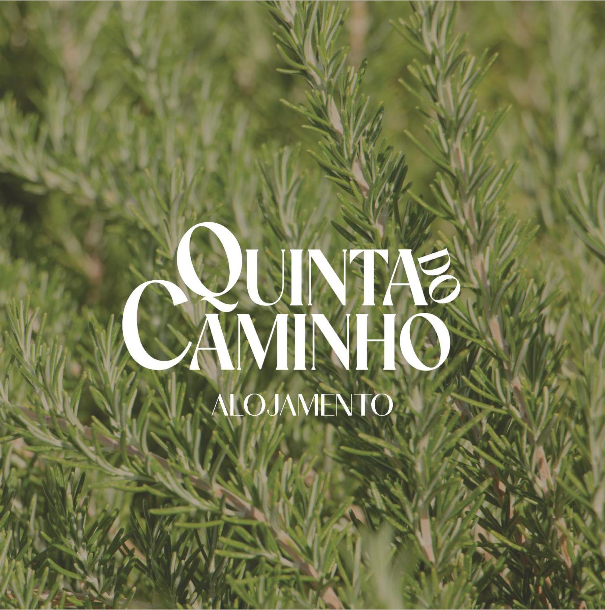 Quinta Do Caminho, Al Villa Valenca Ngoại thất bức ảnh